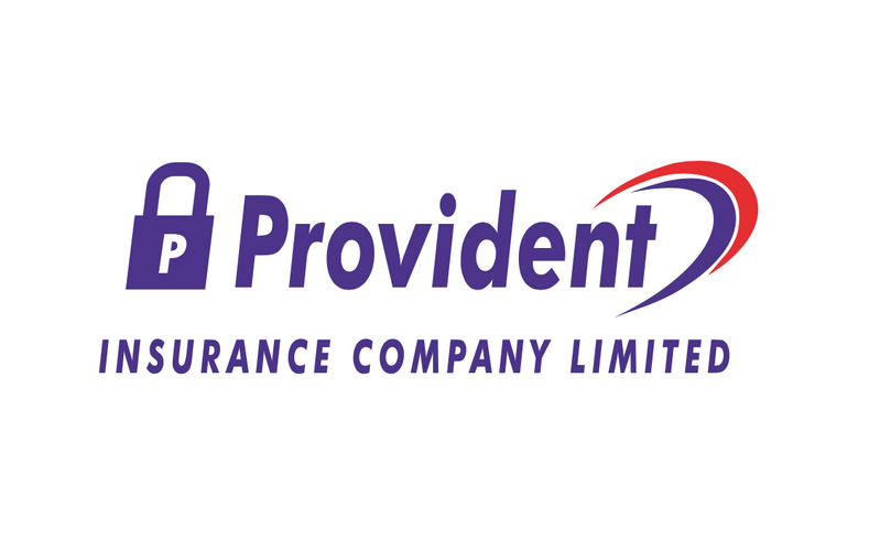 Provident Insurance background